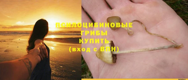 2c-b Алексин