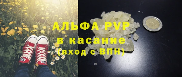 круглые Алзамай