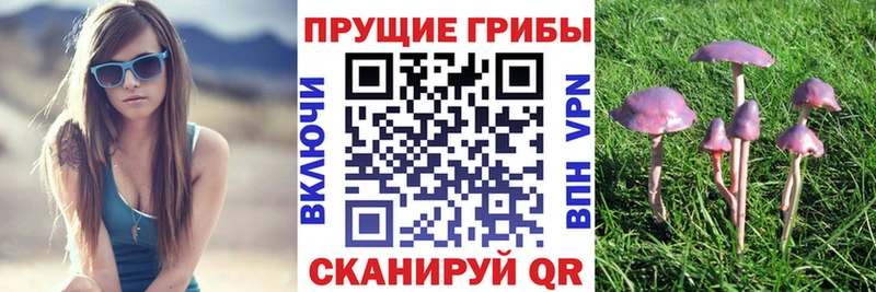 Псилоцибиновые грибы Magic Shrooms  продажа наркотиков  нарко площадка формула  Богучар 